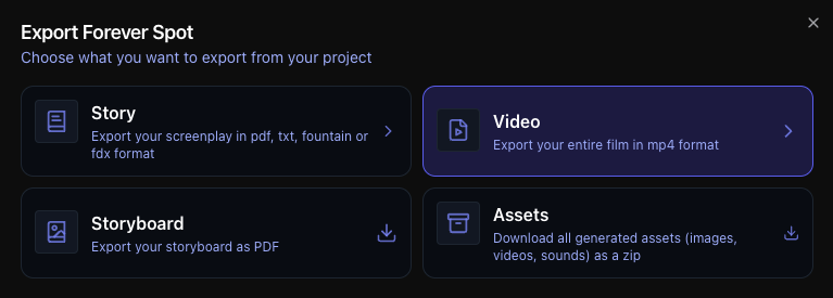 Video Export Feature